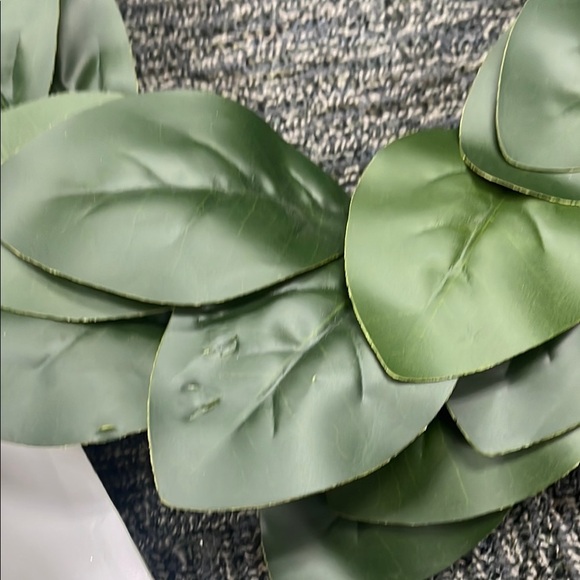 Artificial Magnolia Green Leaf Wreath - Picture 8 of 12